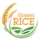 greenricegroup